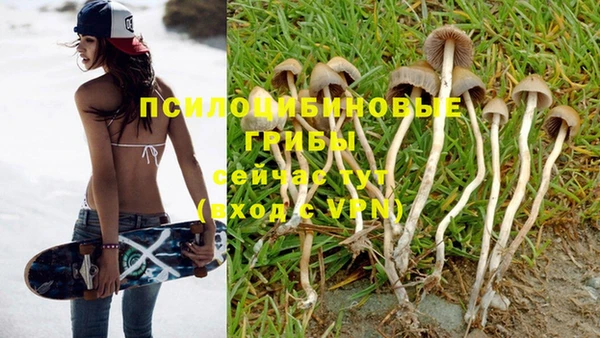 mdpv Нягань