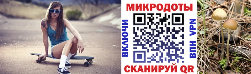 купить наркотик  Искитим  Псилоцибиновые грибы GOLDEN TEACHER 
