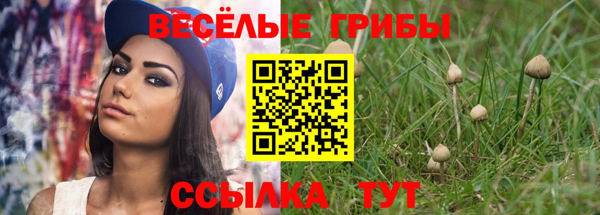 Галлюциногенные грибы GOLDEN TEACHER Искитим